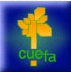 Site Internet officiel du CUEFA
